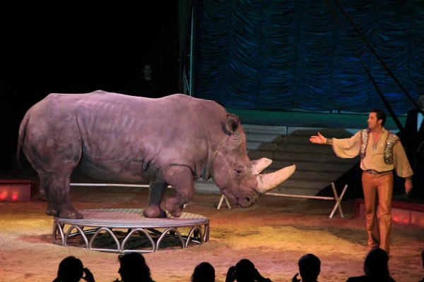 Krone2011   145.jpg